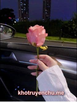 Cự Tuyệt Thâm Tình