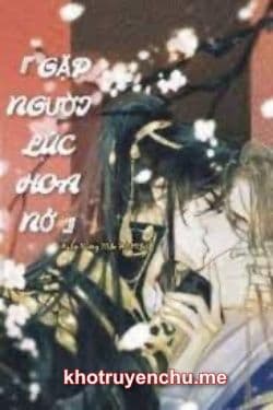 Gặp Người Lúc Hoa Nở
