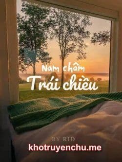 Nam Châm Trái Chiều