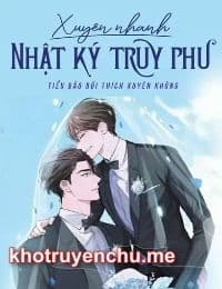 Xuyên Nhanh Nhật Ký Truy Phu
