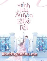 Đỉnh Lưu Ẩn Hôn Lật Xe Rồi