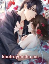 Không Thể Để Mất Anh  - Hoàng Anh