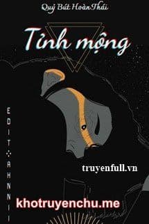 Tỉnh Mộng