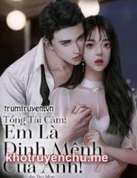 Tổng Tài Câm: Em Là Định Mệnh Của Anh - An Thư Mạn