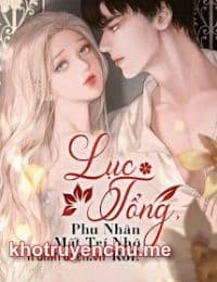Lục Tổng, Phu Nhân Mất Trí Nhớ Rồi! - Lâm Huyền - Lục Ngạn