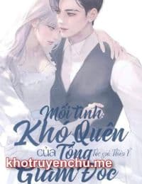 Mối Tình Khó Quên Của Tổng Giám Đốc - Thiên Ý