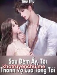 Sau Đêm Ấy, Tôi Thành Vợ Của Tổng Tài