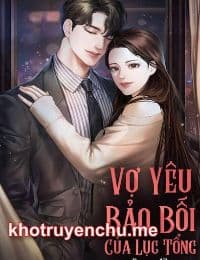 Vợ Yêu Bảo Bối Của Lục Tổng - Diệp Hy Nguyệt - Lục Lãnh Phong